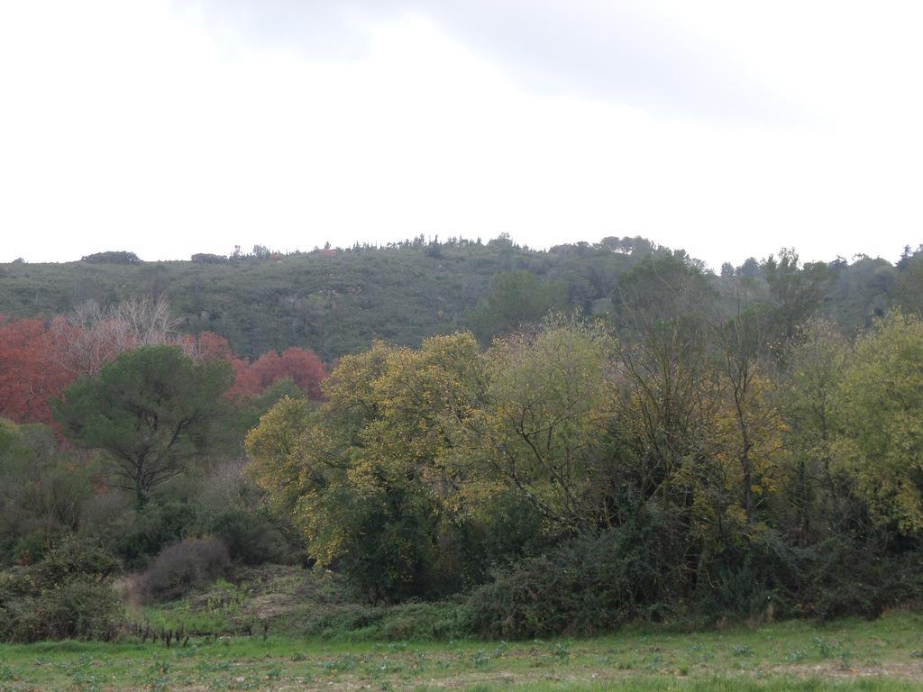 Appart'17-Domaine De La Source ユゼ エクステリア 写真
